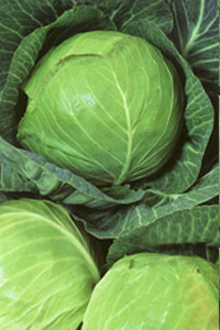 Какие фрукты и овощи есть осенью 2